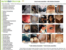 Tablet Screenshot of natursextreffen.com